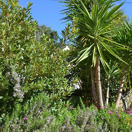 Vida Nova Algarve, Infinity Pool And Awesome Coastal Views * 몬시크