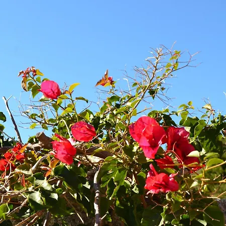 빌라 Vida Nova Algarve, Infinity Pool And Awesome Coastal Views