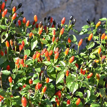 Vida Nova Algarve, Infinity Pool And Awesome Coastal Views 빌라