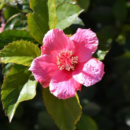 Vida Nova Algarve, Infinity Pool And Awesome Coastal Views 빌라 *