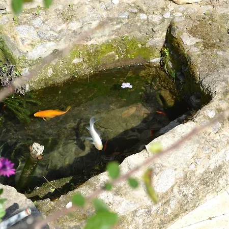 Vida Nova Algarve, Infinity Pool And Awesome Coastal Views *