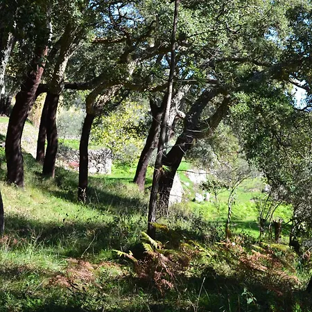 Vida Nova Algarve, Infinity Pool And Awesome Coastal Views Вилла *